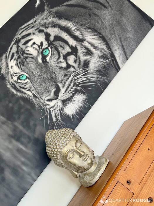 Appartements à louer (Photo)