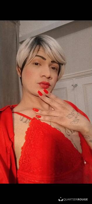 Paloma (Photo)