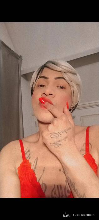 Paloma (Photo)