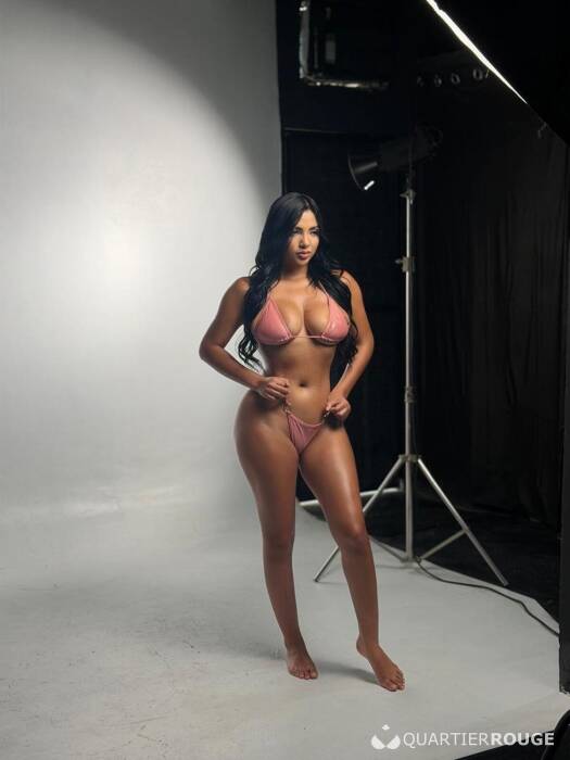 Sofia latina (Photo)