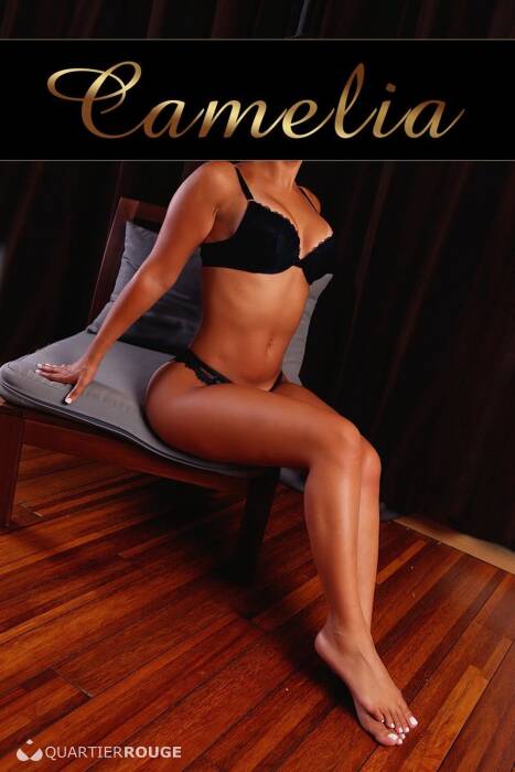 Camélia (Photo)