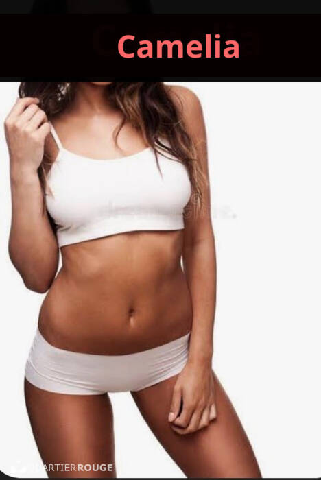 Camélia (Photo)