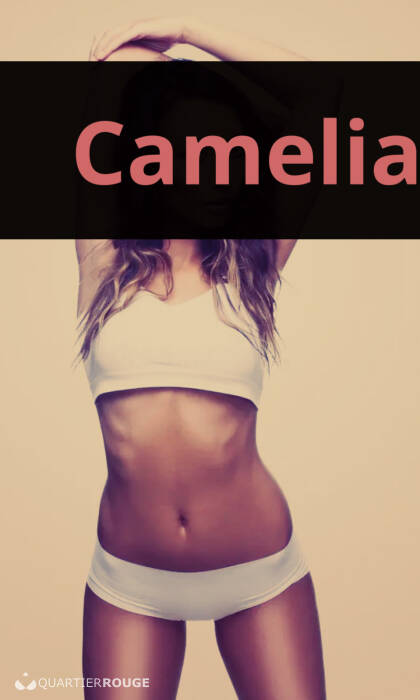 Camélia (Photo)