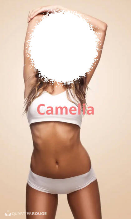 Camélia (Photo)