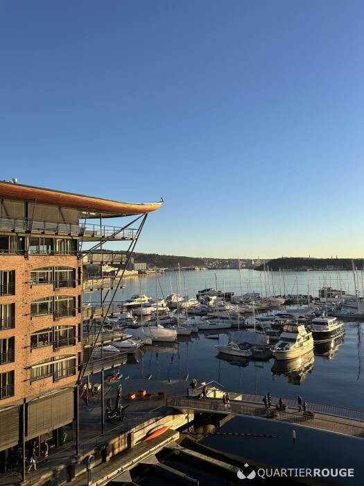 Scandinavian Agency (Photo)