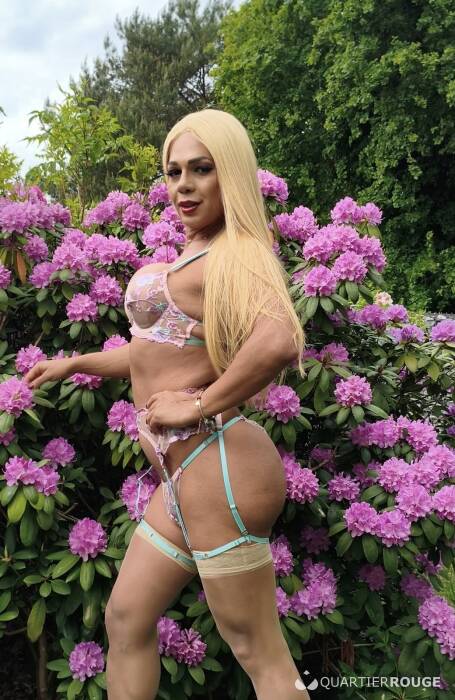 Louise mariana (Photo)