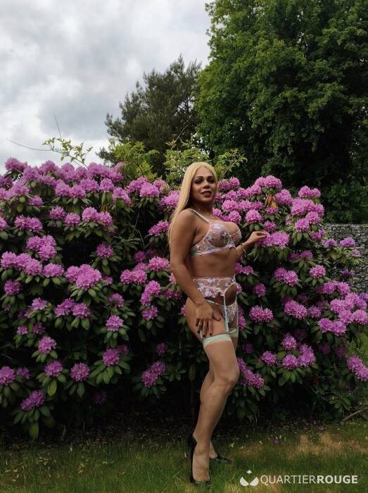 Louise mariana (Photo)