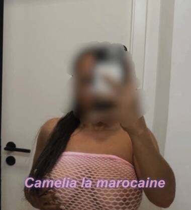 Camelia