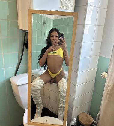 Trans Dispo maintenant
