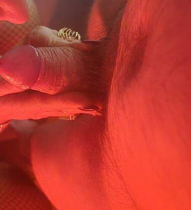 Sandrinelacoquinenotabous