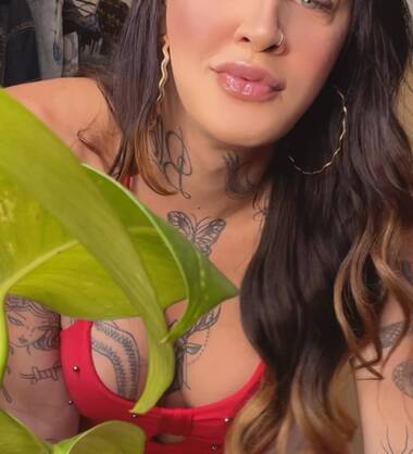 Bite tatoué