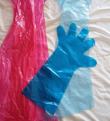 Le voisin pervers est de retour