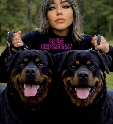 GFE/PSE/CIM/COF/ANNUNLIN/PEGGING