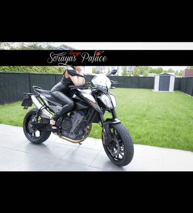 Soraya\'s Palace 50€