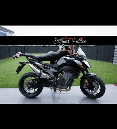 Soraya\'s Palace 50€