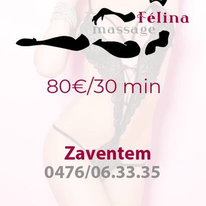NIEUW FELINA ZAVENTEM