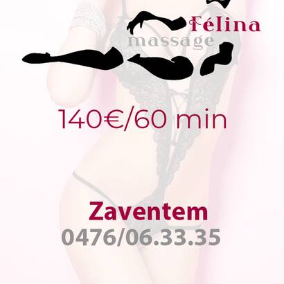 NIEUW FELINA ZAVENTEM