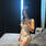 Bruna