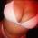 Adelina