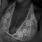 Claudia