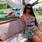 Alessia