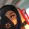 samy