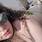 Gaby