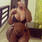 Lorena