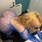 Evelin