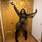 Christal