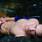 Davi_