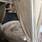 Chambre a louer