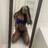 KIM GFE