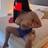 Cristel