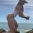 Lais