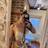 Bruna GFE