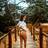 Jessica