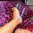Camilia