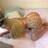 Bruna