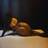 Morgane Forever - Victoria