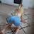 Yoana