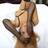 Sofia Lux