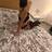 Ines femme belge