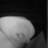 Nessa