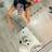Flavia