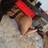 Assia