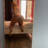 Melanie  transsexual