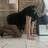 Amandine travestie