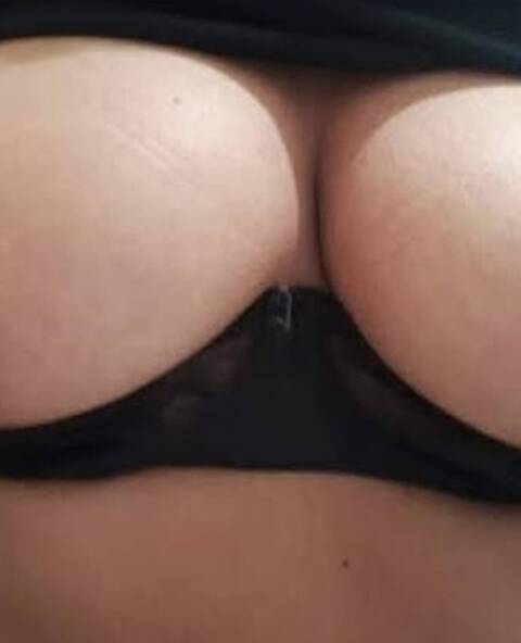 Cochonne tournai vénale