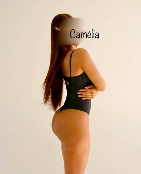 Camélia